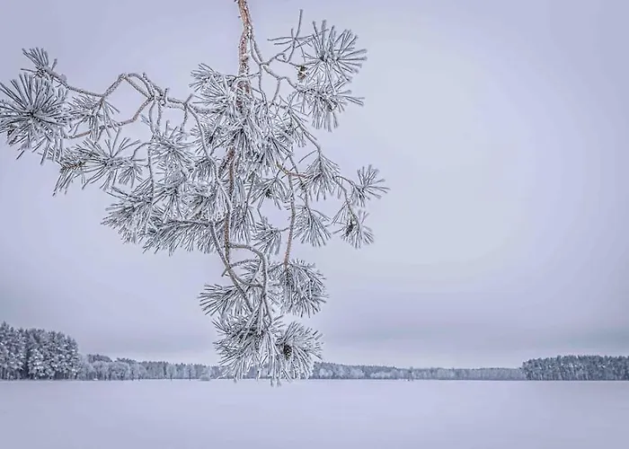 Kleine Auszeit Im Seenland