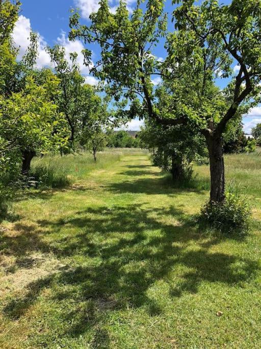 Apartment Kleine Auszeit Im Seenland Hohenbocka